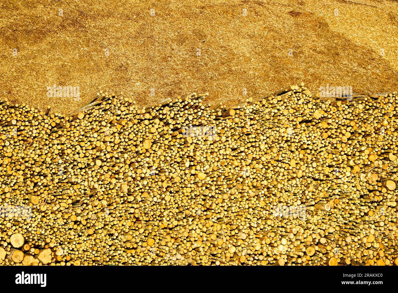 Large pile with logs and wood chips, sustainable renewable heat energy ...