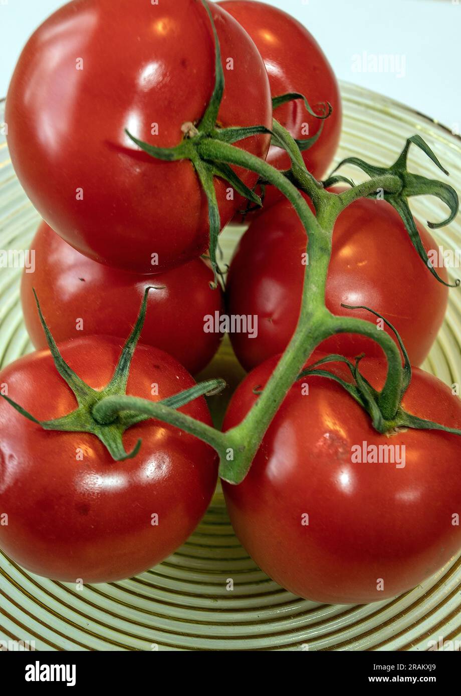 Fresh tomatoes Stock Photo