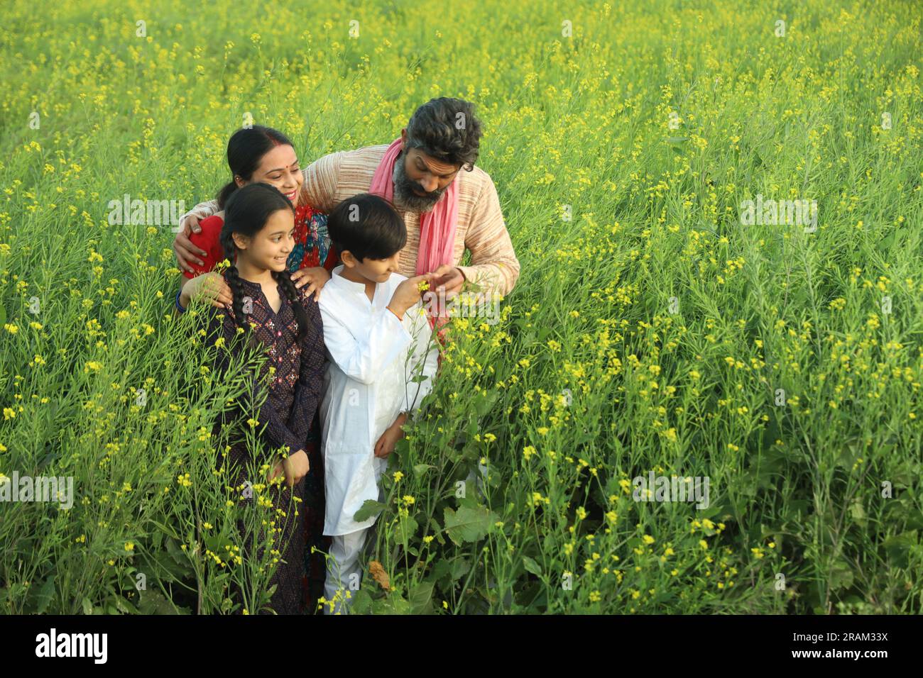 Happy Indian farmers family standing in mustard field in day time ...