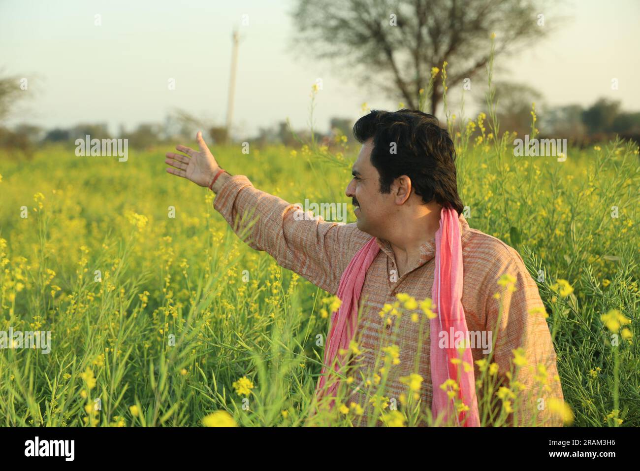 Young happy Indian farmer man standing in mustard field in a day time ...