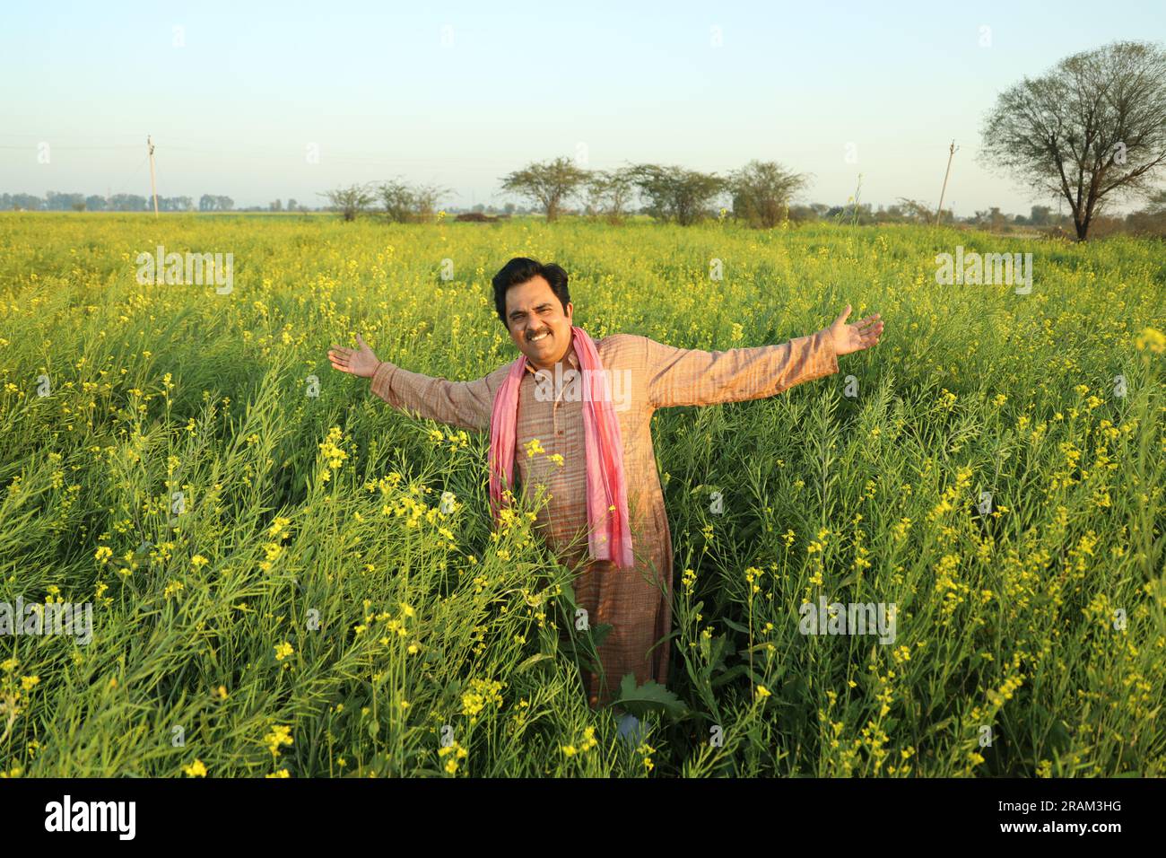 Young happy Indian farmer man standing in mustard field in a day time ...