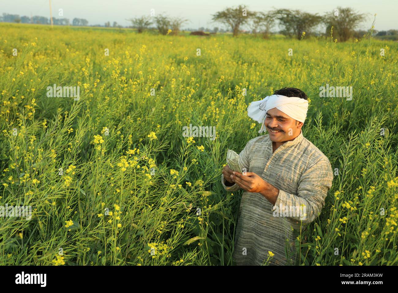 Young happy Indian farmer standing in mustard field enjoying the ...