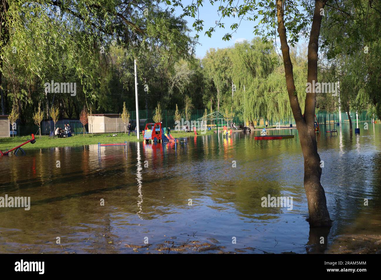The consequences of flooding in the park, summer nature, Chernihiv, golden beach, city beach