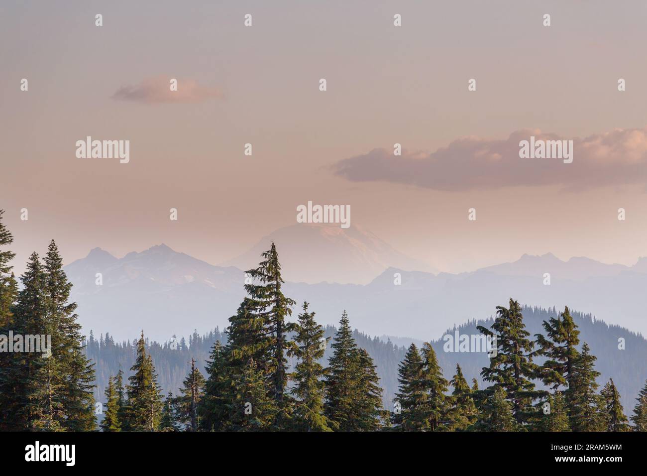 Mt. Adams in Washington State, USA Stock Photo - Alamy