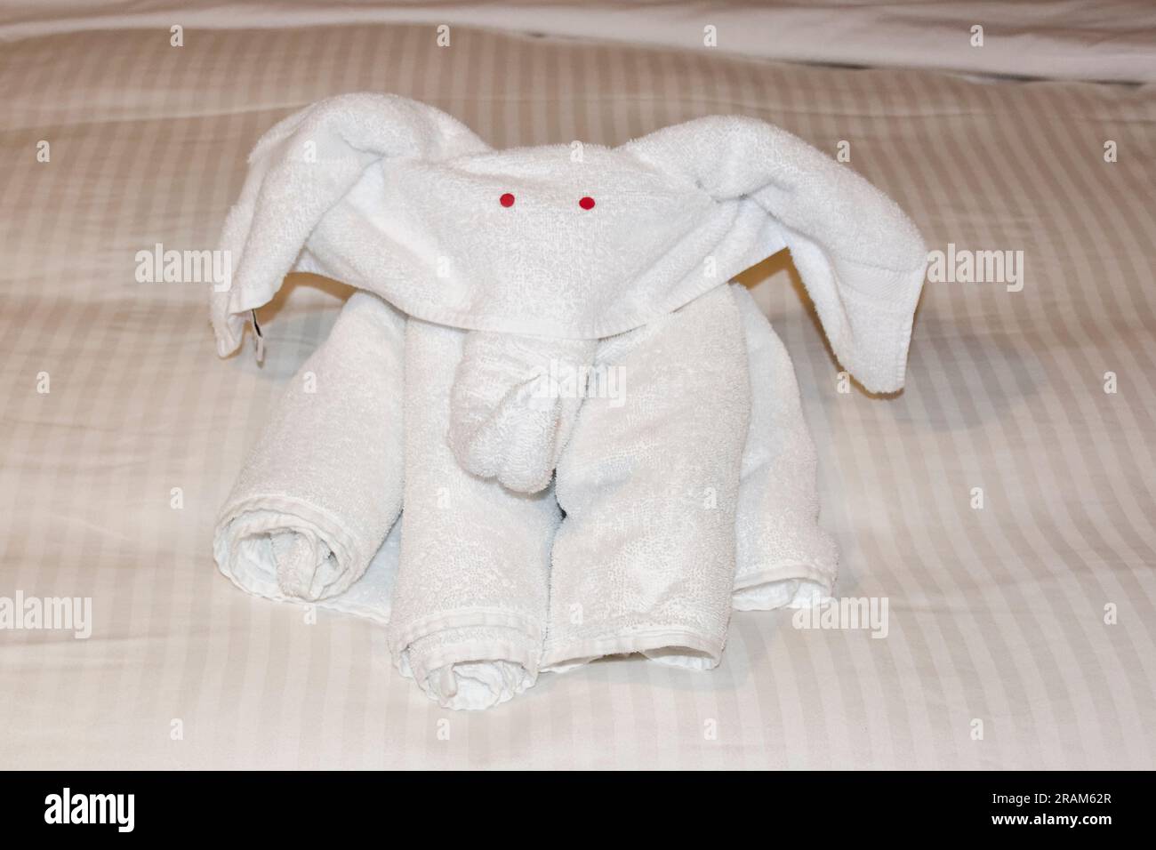 Towel folding art of a beautiful white elephant folded by a bath towel ...