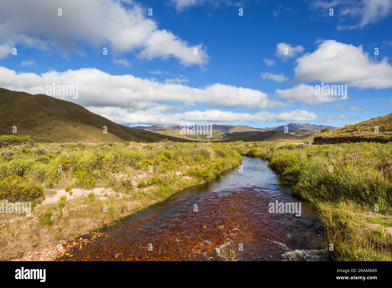 Clear creek in mountains plateao paramo in Colombia Stock Photo