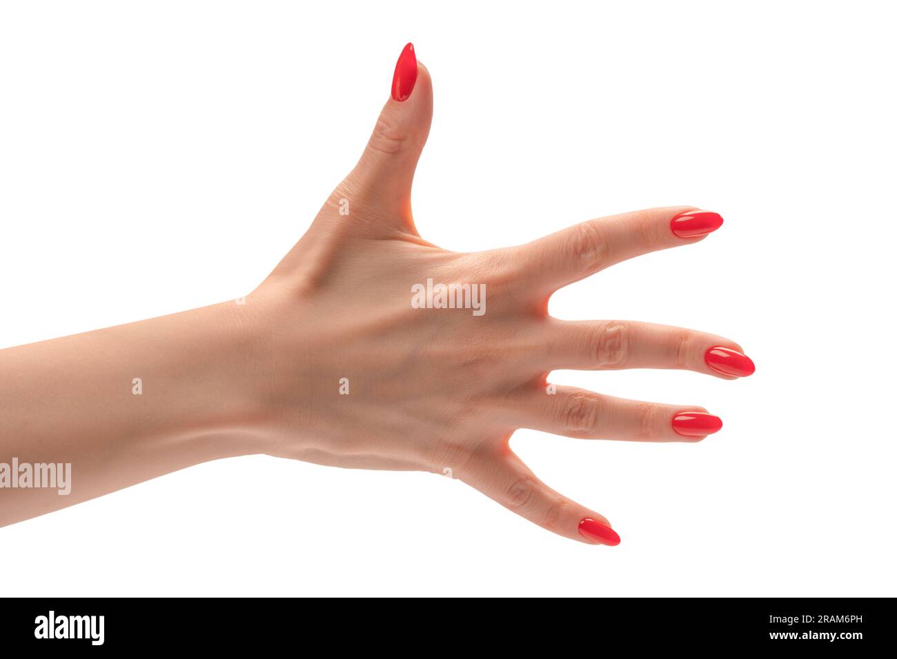 Closeup of female hand with pale skin and red nails pointing or touching isolated on a white background. Stock Photo