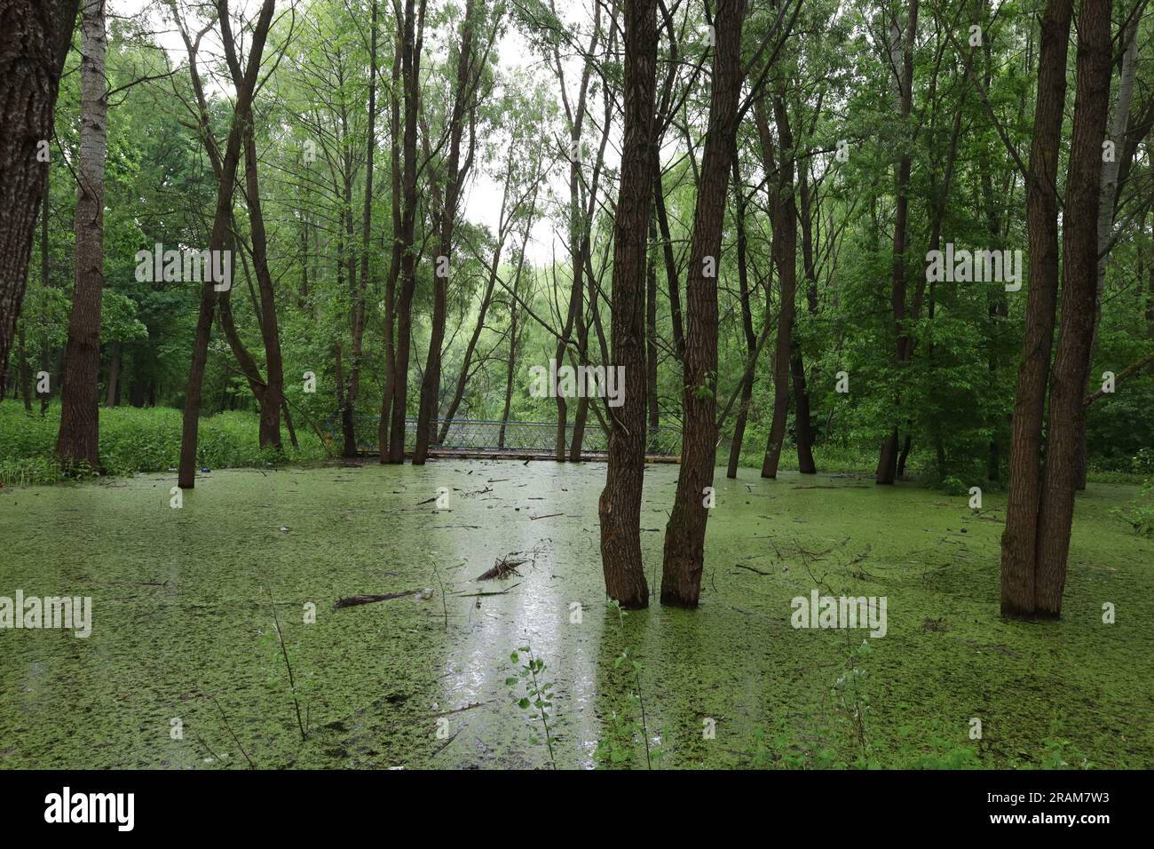 Sunny day rainy day hi-res stock photography and images - Alamy