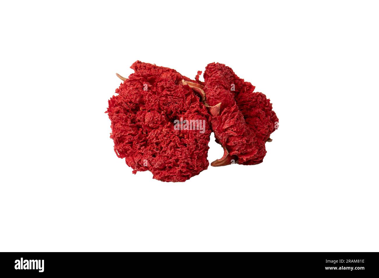 Dried pomegranate flower isolated on a white background. Top view. Stock Photo