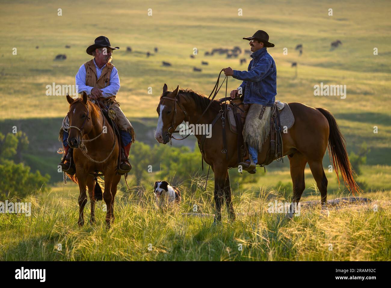 Robert and Kyle; Dennis Ranch, Red Owl, South Dakota. Stock Photo