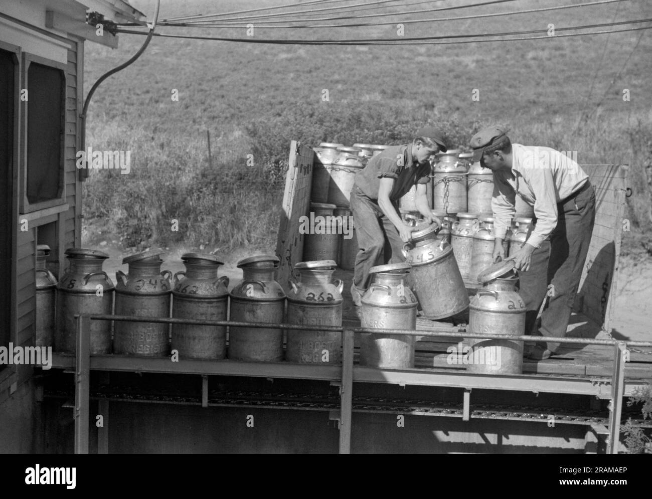 East Berkshire, Vermont:  September, 1941 Opening milk cans that have been delivered to the United Farmers Coop Creamery. Stock Photo