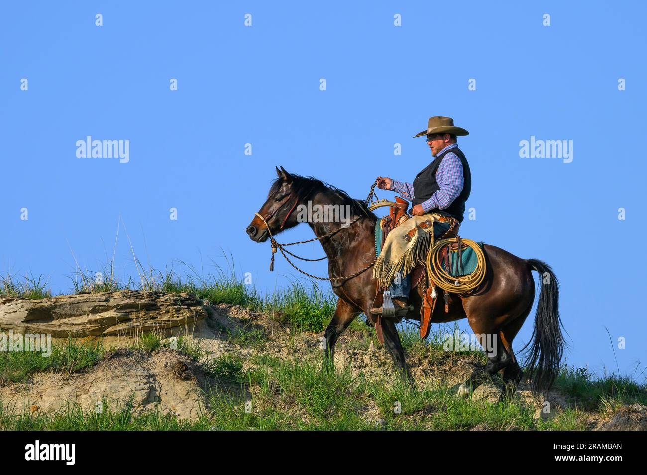 Chance Dennis at Dennis Ranch in Red Owl, South Dakota. Stock Photo