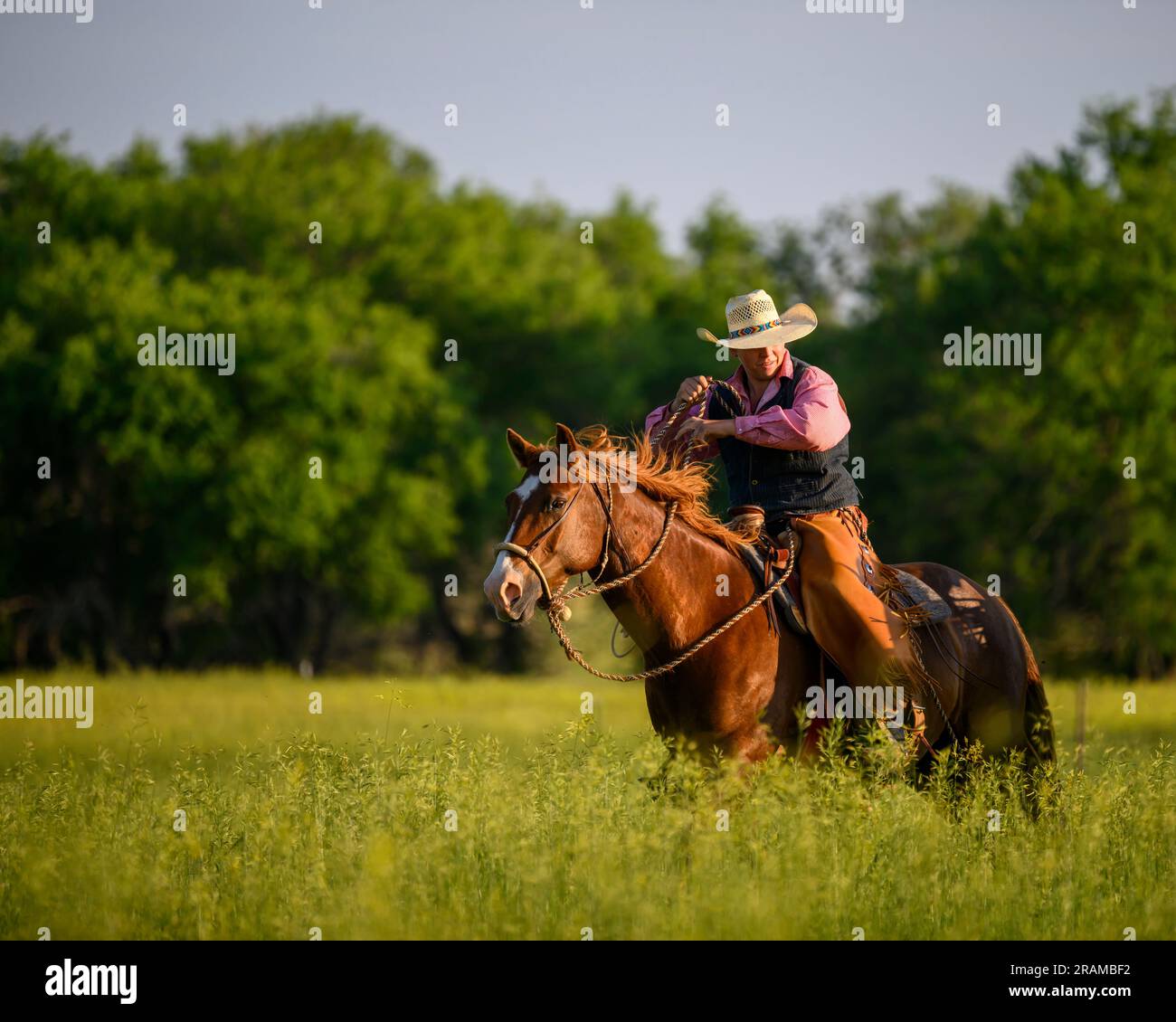 Dennis Ranch Red Owl South Dakota Stock Photo Alamy dennis-ranch-red-owl-south-dakota-stock-photo-alamy