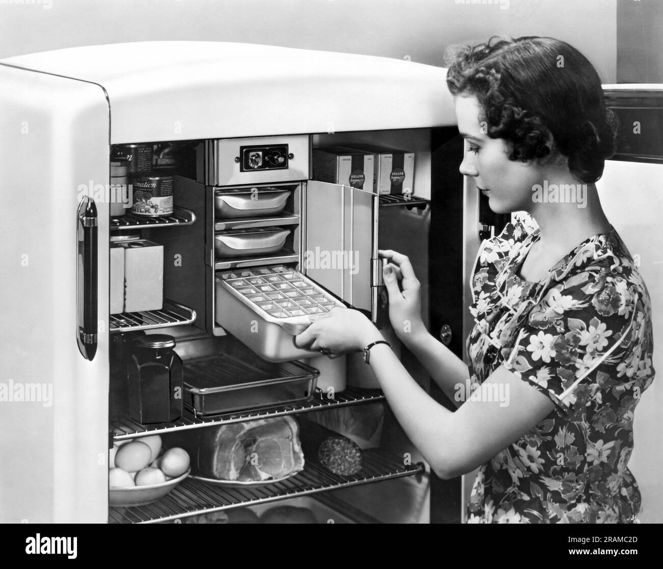 United States: c. 1945.  A housewife puts an ice cube tray into the freezer section of her refrigerator. Stock Photo