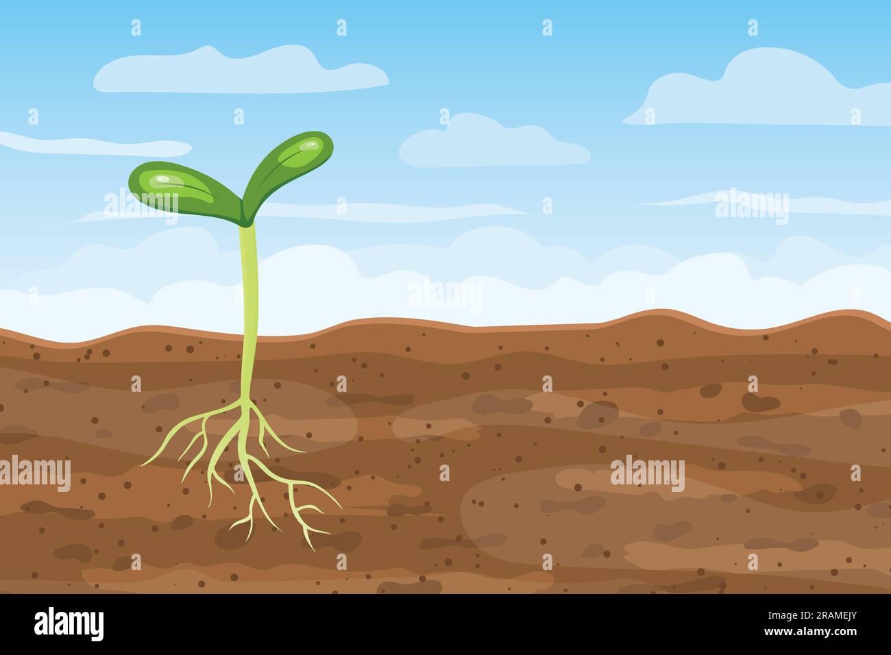 young plant growing from the soil with cross section of roots; spring, new life concept - vector illustration Stock Vector