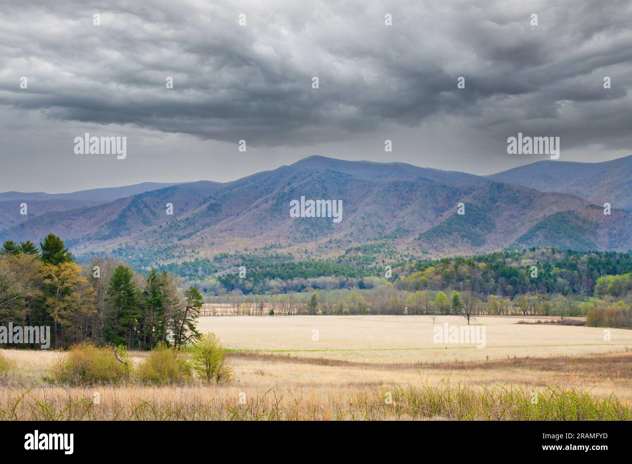 Great Smoky Mountain Valley Stock Photo