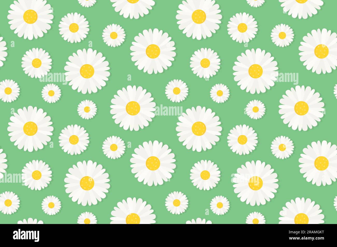 seamless spring pattern with daisy flowers- vector illustration Stock ...