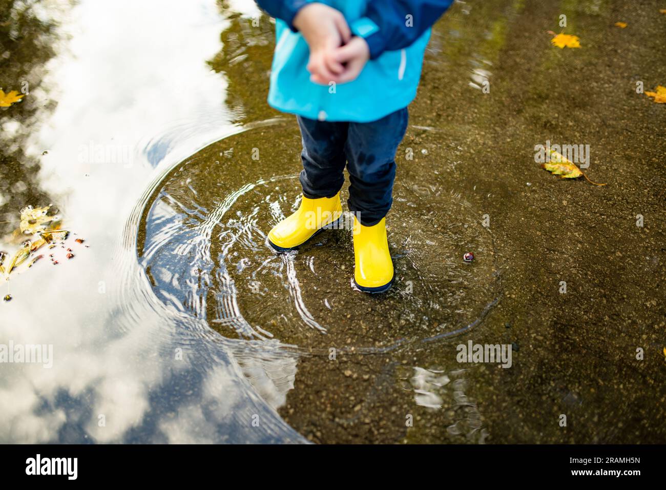 Adorable toddler boy wearing yellow rubber boots playing in a a puddle ...