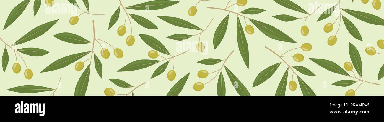 olive tree branches banner- vector illustration Stock Vector