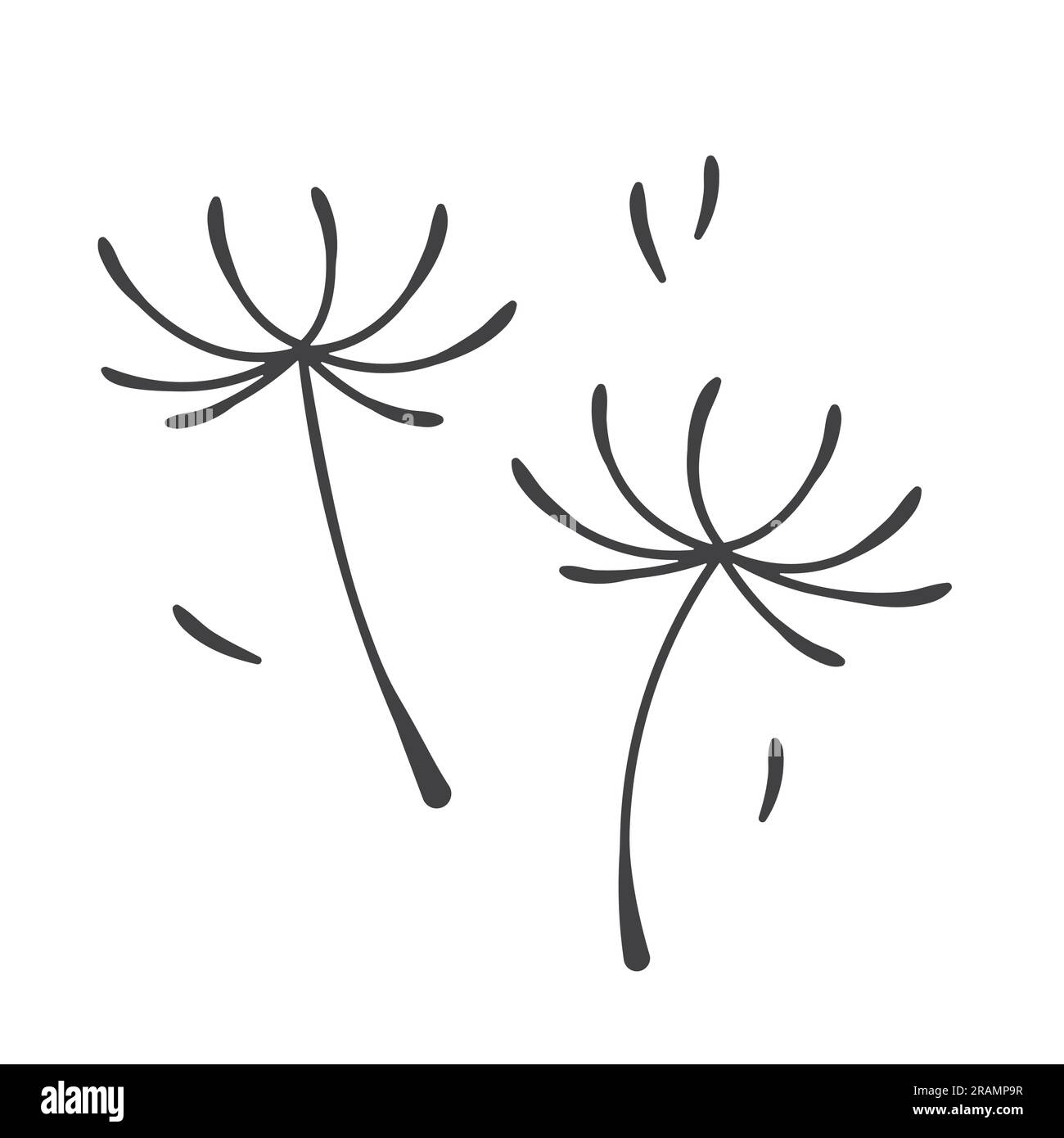 black dandelion seeds- vector illustration Stock Vector