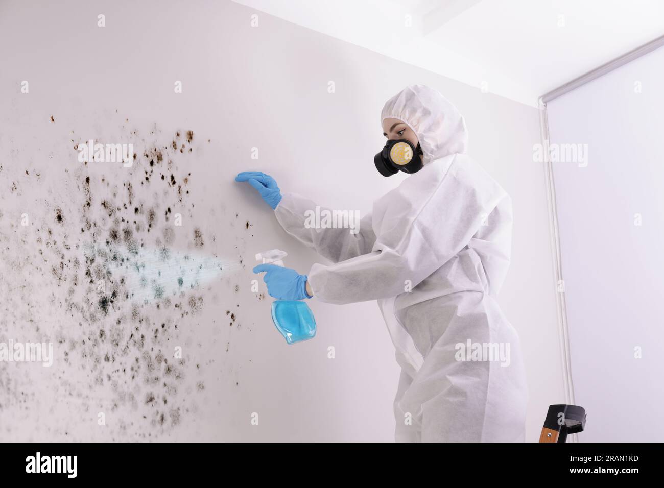 Woman in protective suit and rubber gloves spraying mold remover onto wall Stock Photo
