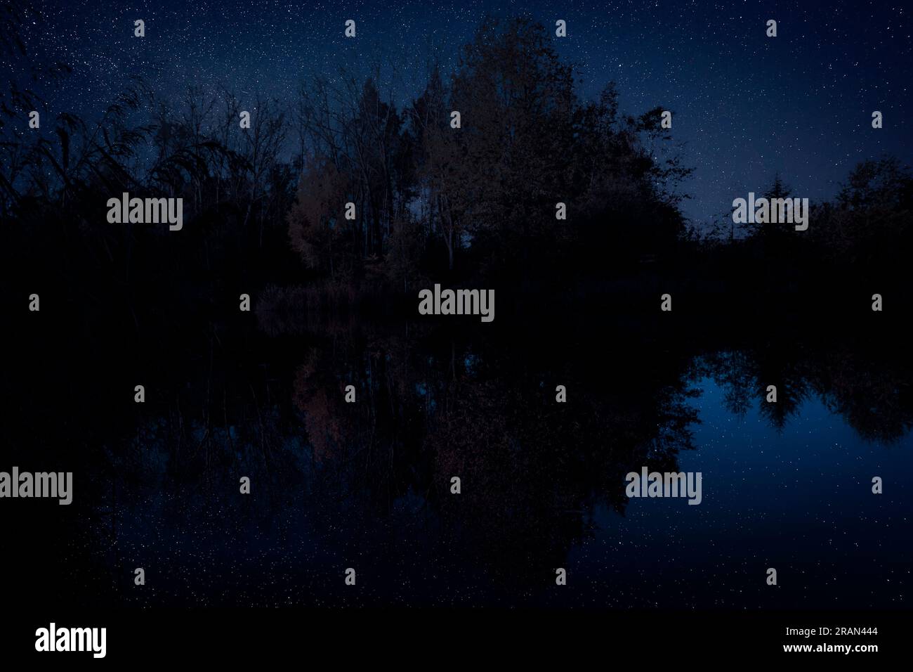 Amazing starry sky trees hi-res stock photography and images - Alamy