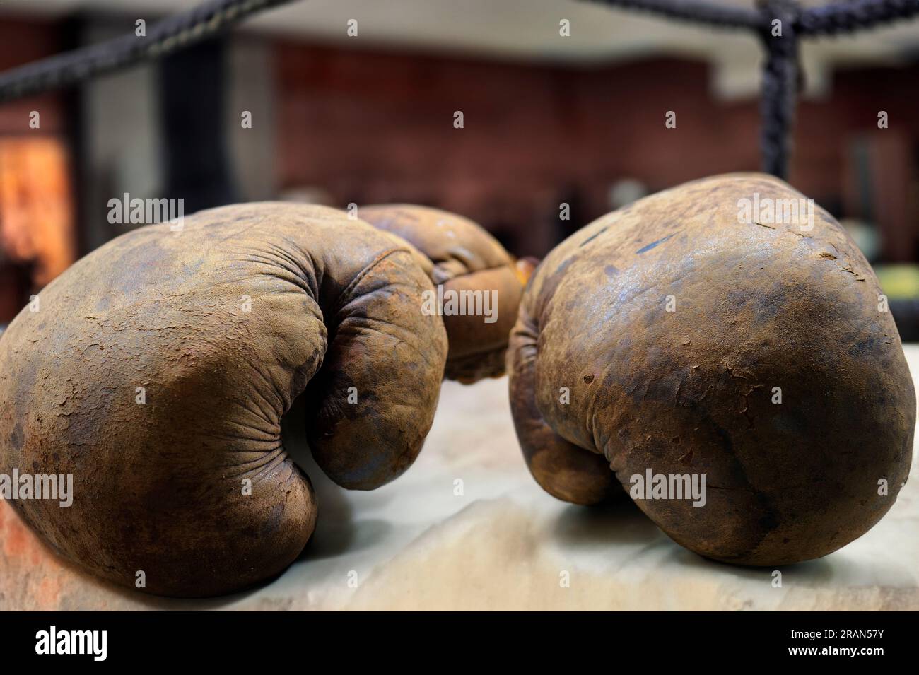 Vintage or retro boxing gloves, circa 1940 to 1950 Stock Photo Alamy