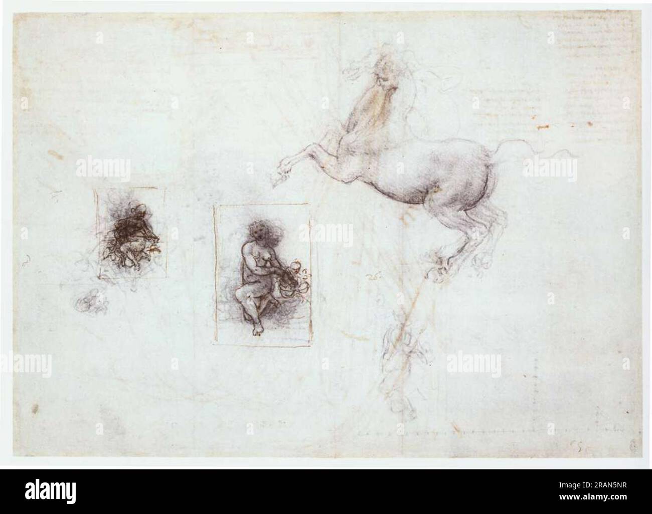 Studies of Leda and a horse c.1504; Florence, Italy by Leonardo da Vinci Stock Photo