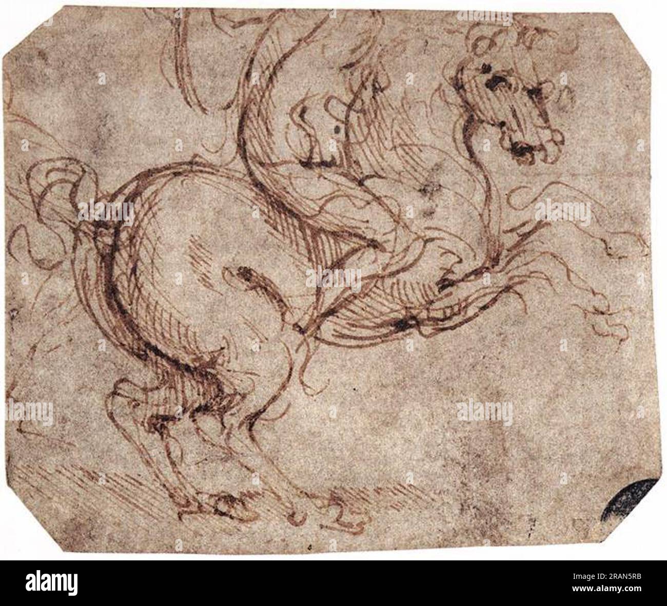 Study of a rider c.1504; Florence, Italy by Leonardo da Vinci Stock Photo