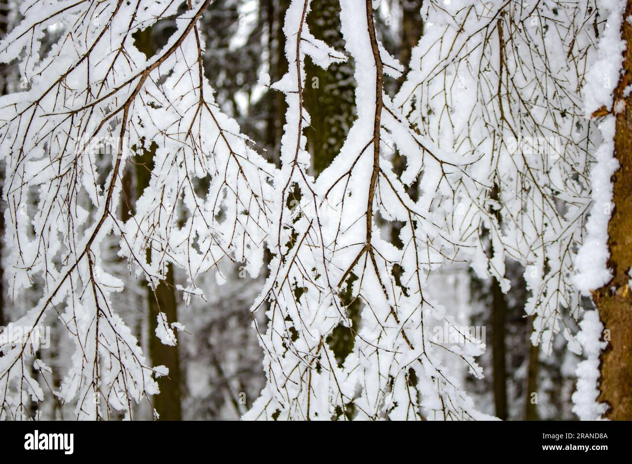 Mountain covered in thick layer hi-res stock photography and images - Alamy