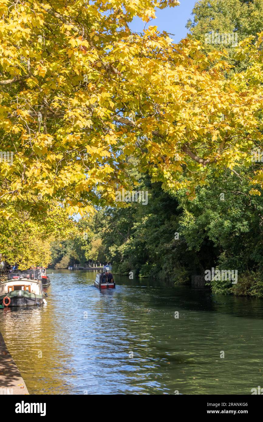 The River Thames at Maidenhead, Berkshire, England, UK on a sunny, Autumn day. Stock Photo