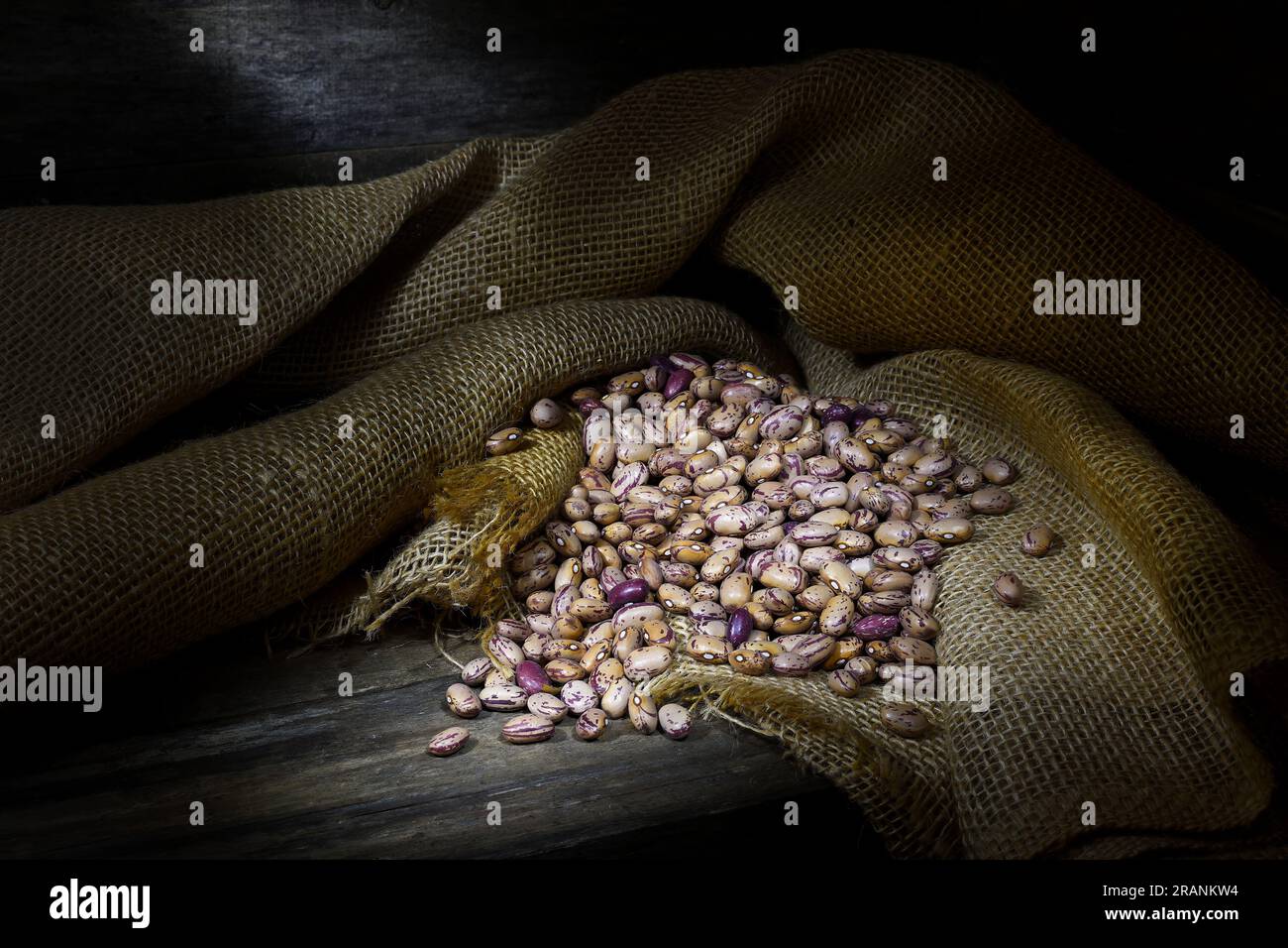 A still life of a pile of raw, dry, uncooked, beige, brown Borlotti beans spread out on a hessian bag in pools of soft mood lighting with copy space Stock Photo