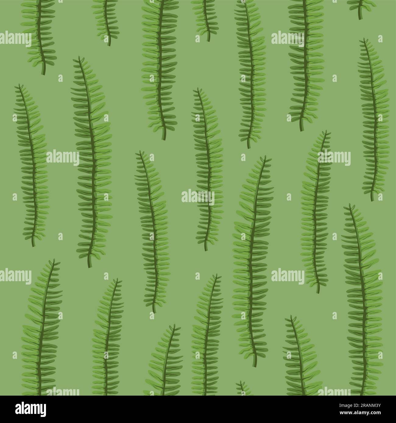 Tropical leaves detail Stock Vector Images - Alamy