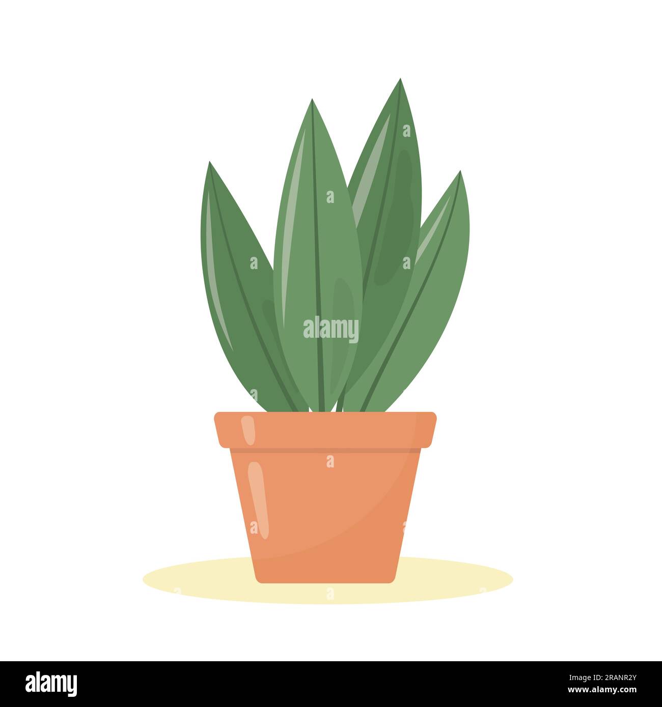 green houseplant in a clay pot- vector illustration Stock Vector Image ...