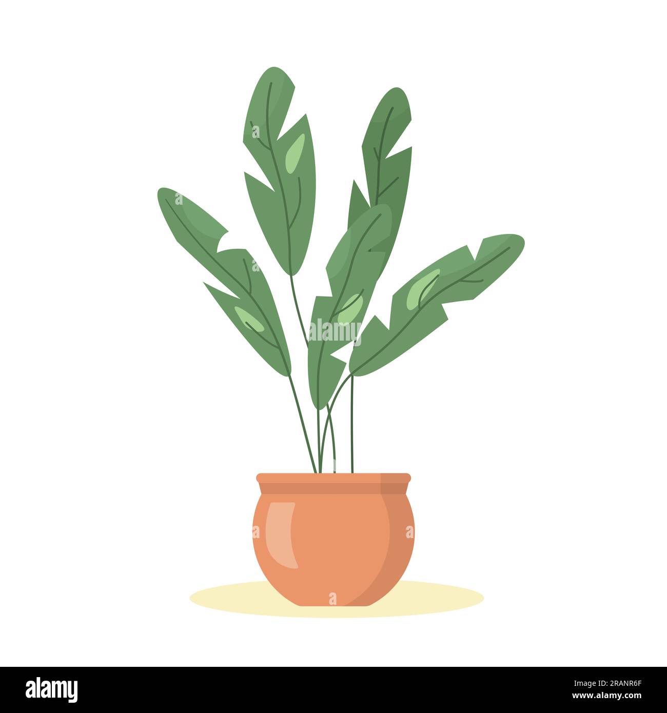 green houseplant in a clay pot- vector illustration Stock Vector Image ...
