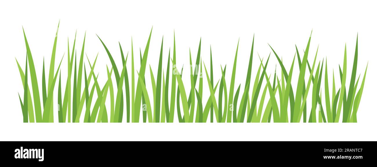blades of green grass vector illustration Stock Vector Image & Art