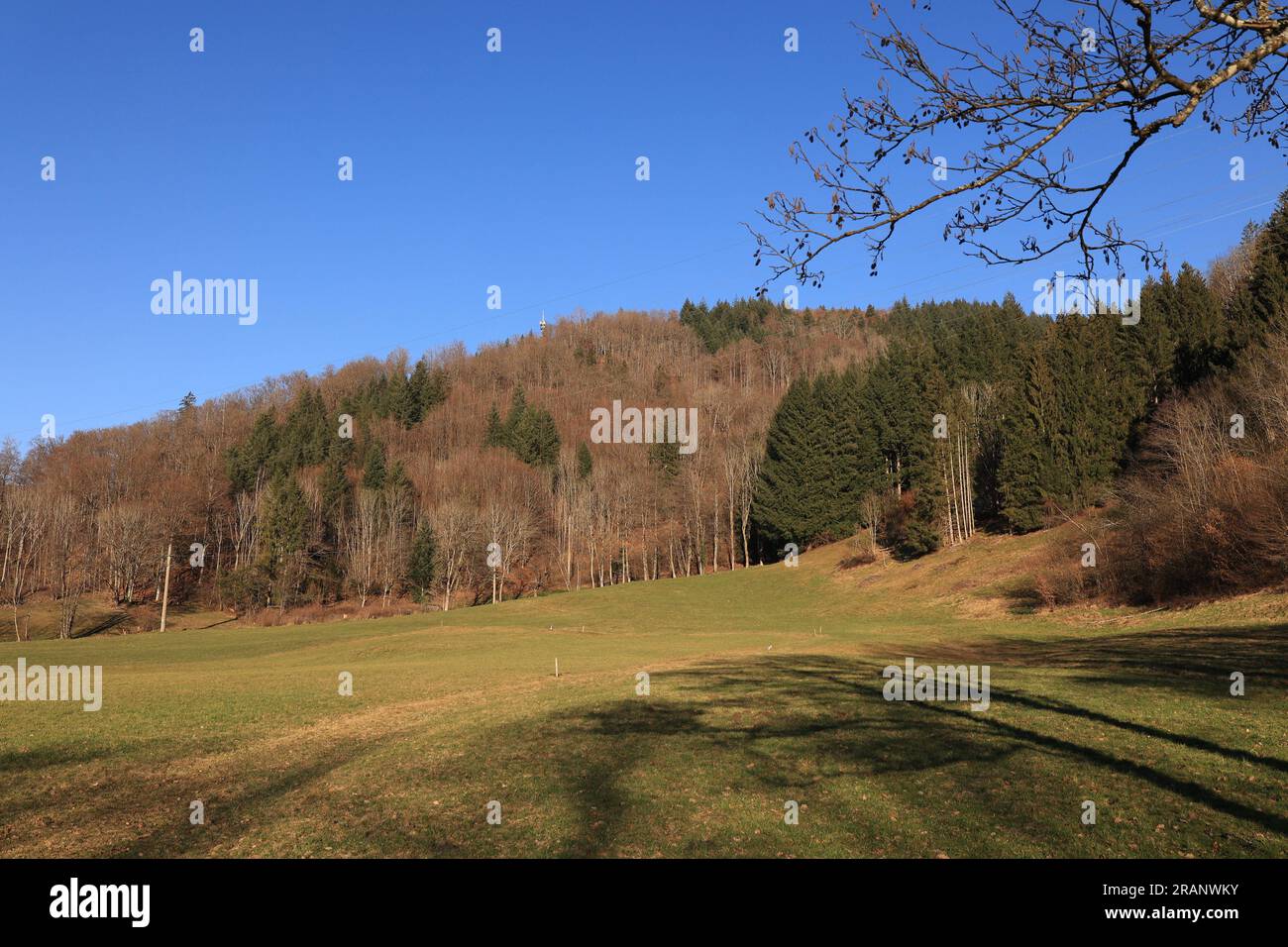 Impressionen aus Schönau im Schwarzwald Stock Photo
