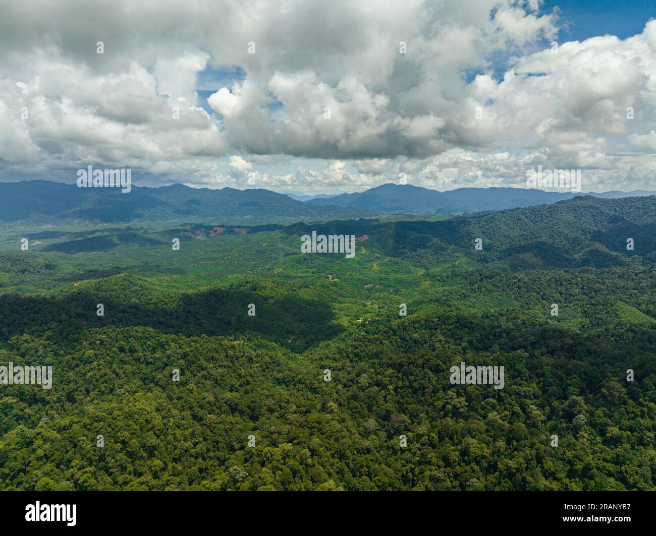 Mountain Slopes Covered With Rainforest And Jungle. View Of The Valley 