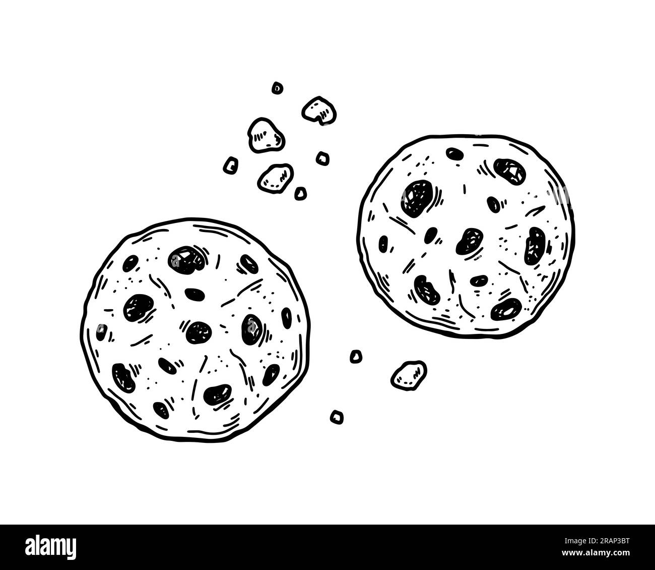 Choco chips cookie. Hand drawn vector illustration in sketch style Stock Vector