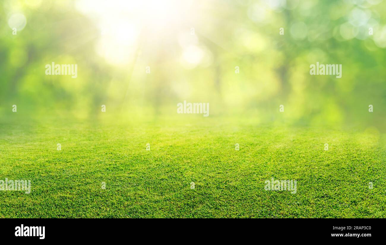 natural grass field background with blurred bokeh and trees in park Stock Photo
