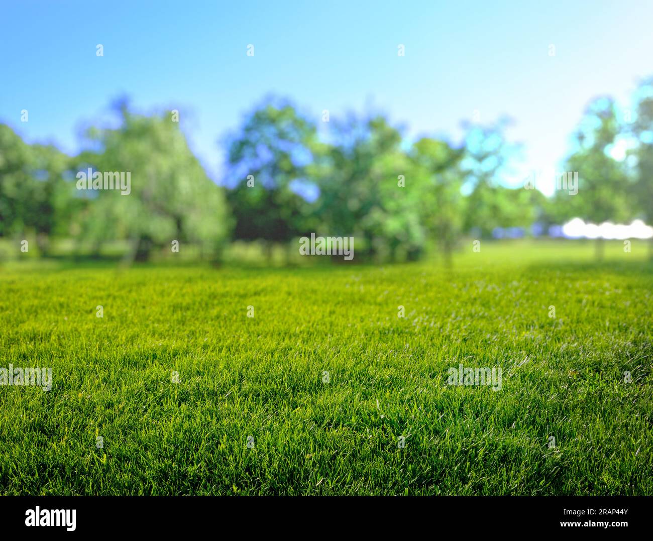 Natural grass field hi-res stock photography and images - Alamy