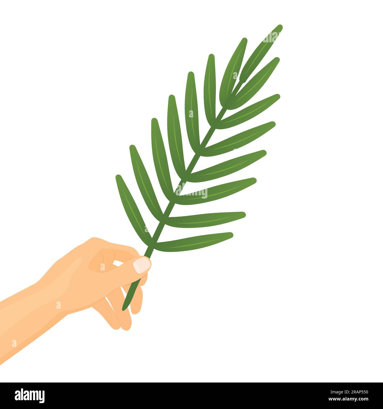 hand holding palm leaf, symbol of Palm Sunday, Holy Week, Easter