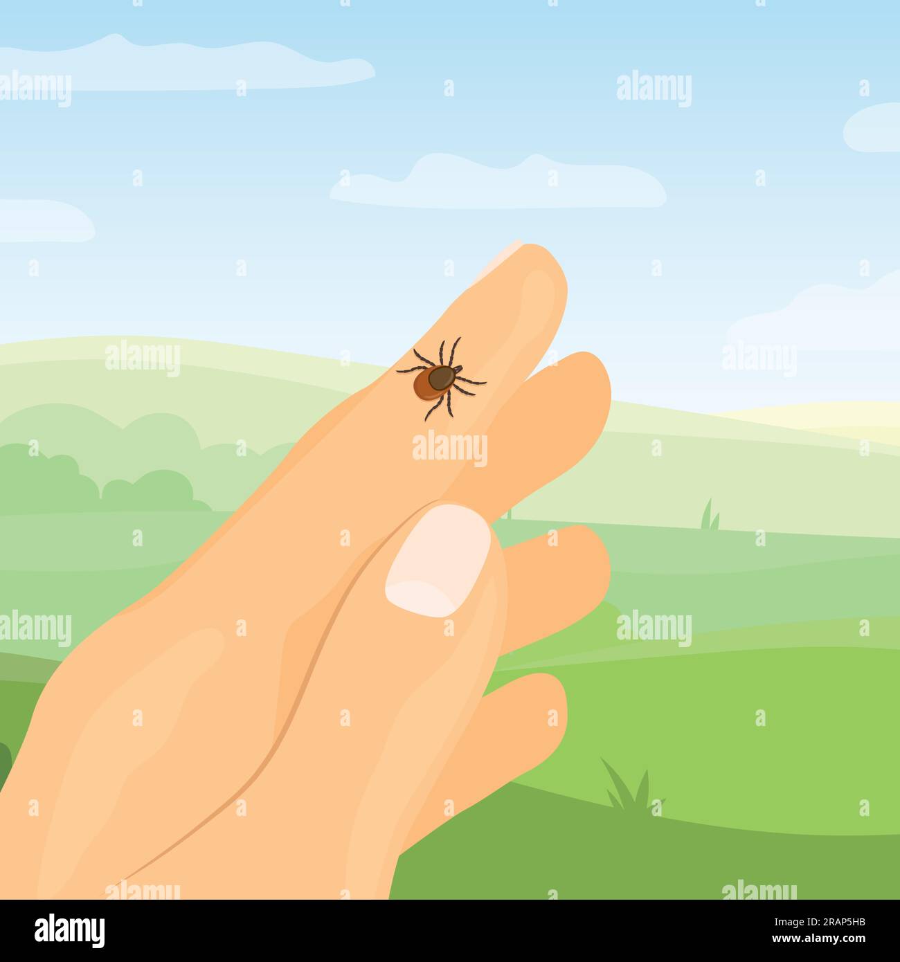 tick on the hand in the park, risk of infection of lyme and tickborne