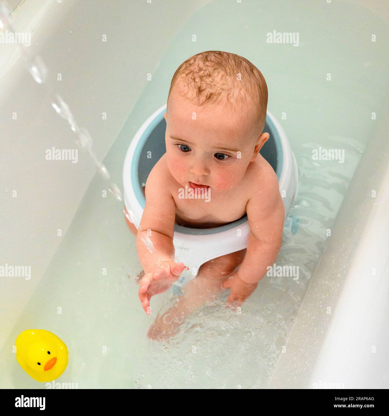 Baby boy in a baby bath in a full size bath fascinated by running water with yellow plastic duck Stock Photo