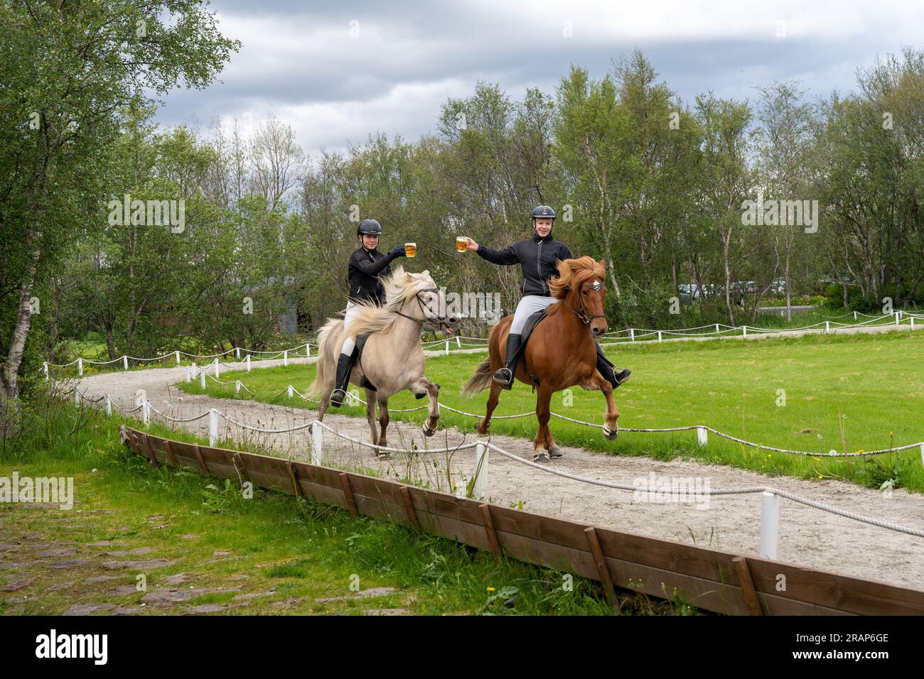 Reykholt, Iceland - 06.24.2023: Two horse riders clinking beer mugs while riding icelandic horses. Icelandic horse show. Beer tölt Stock Photo