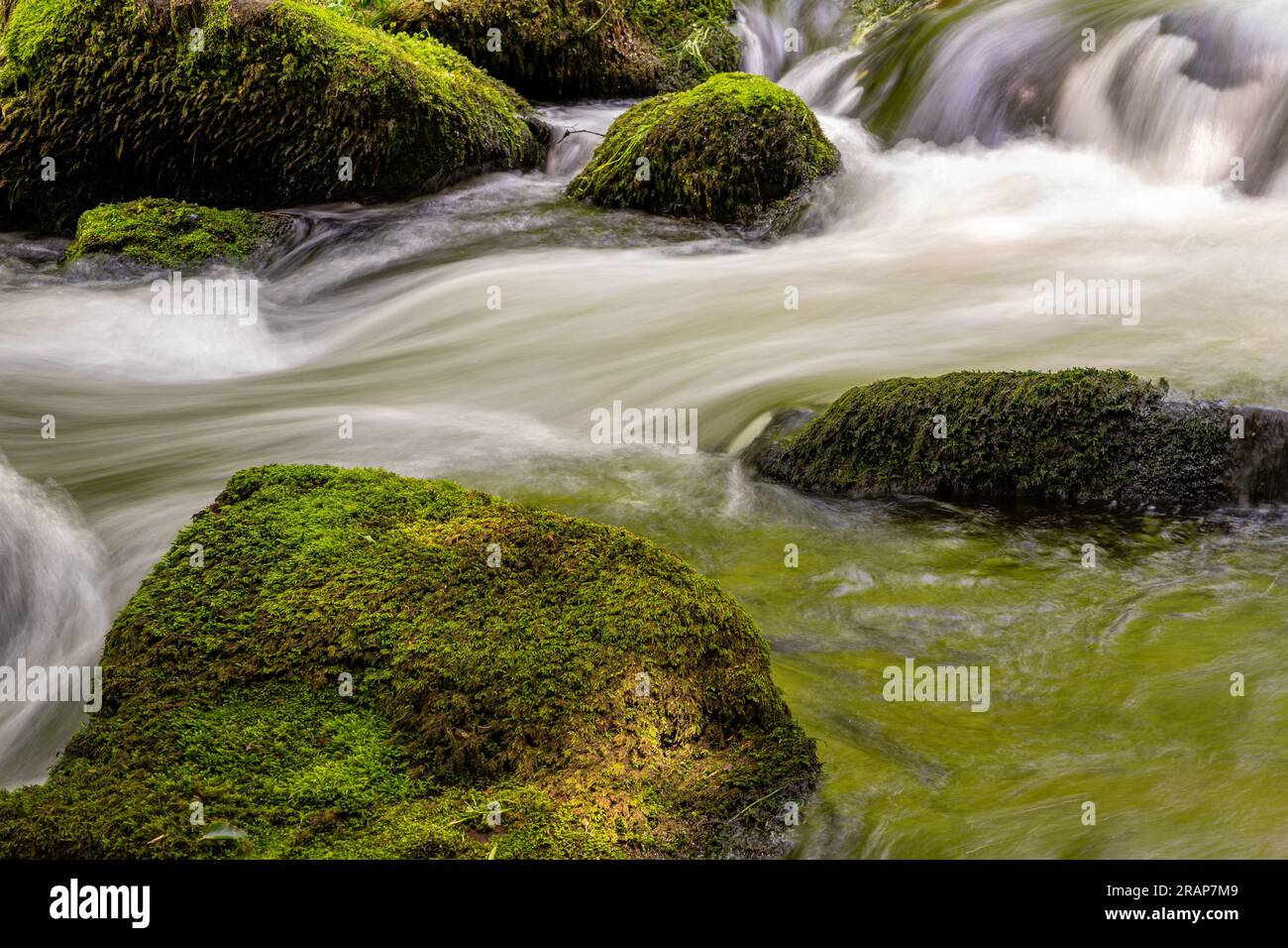 waterfall in the green forest Stock Photo