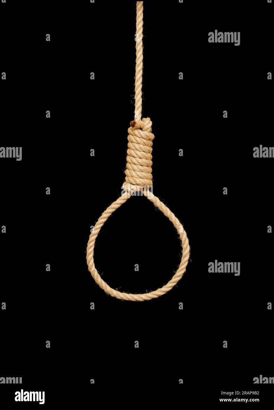 Noose, hanging rope on black background. Stock Photo