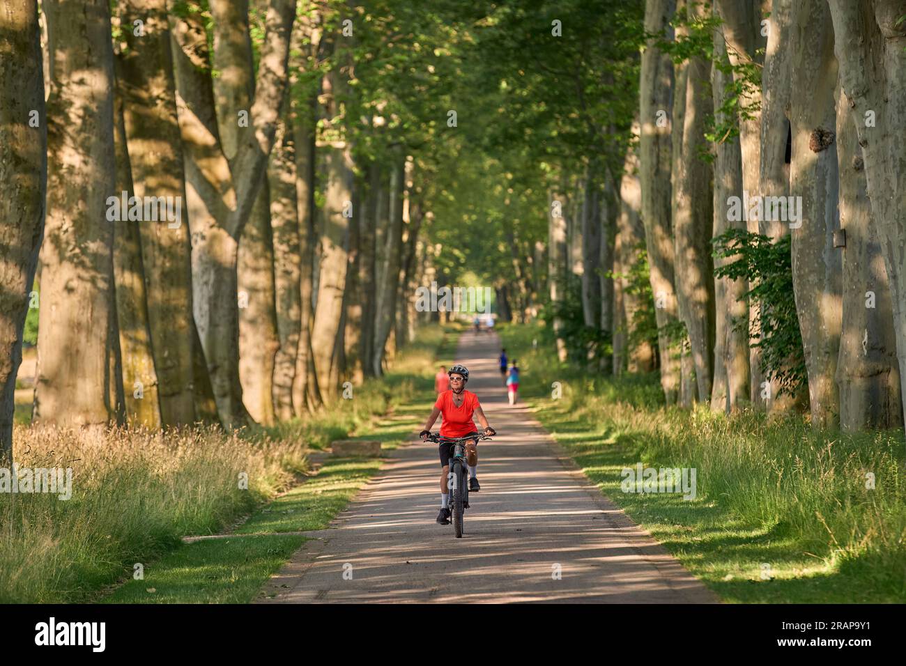 attractive senior woman cycling with her electric mountain bike in the city park of Stuttgart, Baden-Wuerttemberg, Germany Stock Photo