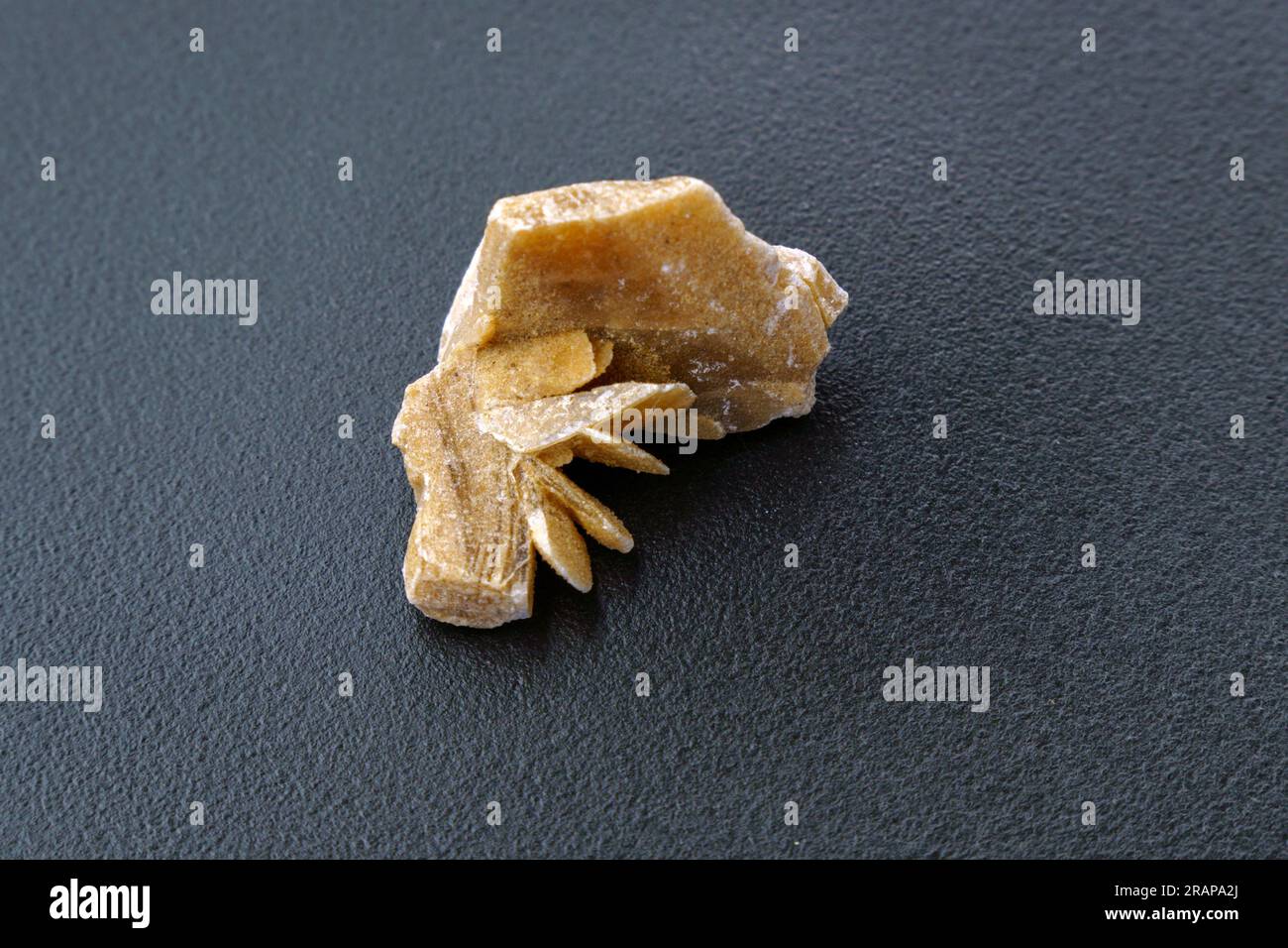 Desert rose. Rock composed of gypsum close up, crystals that resemble ...