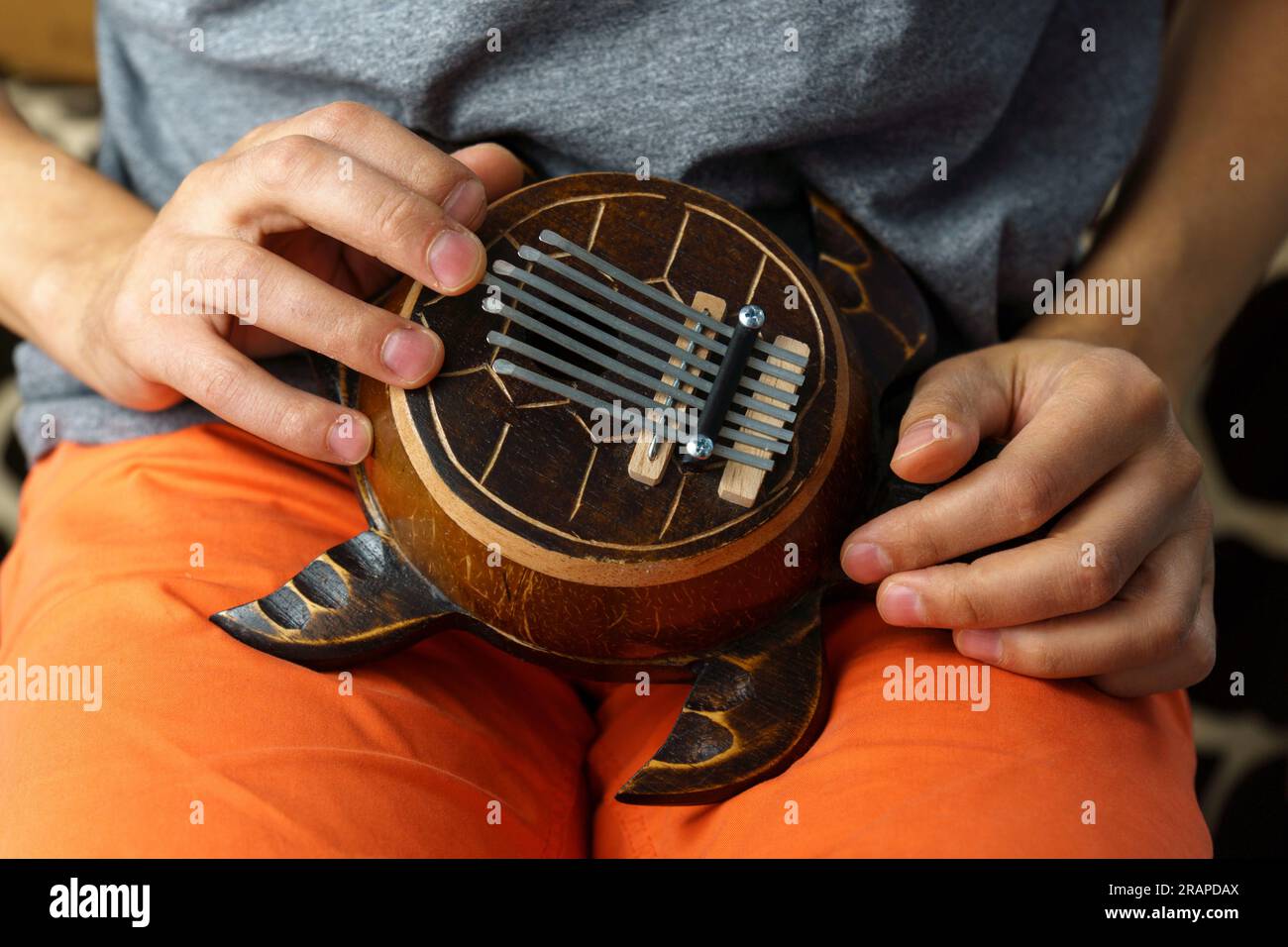 Turtle kalimba outlet